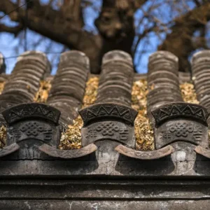 Beijing One-day Hutong Tour